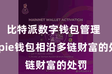 比特派数字钱包管理 Bitpie钱包相沿多链财富的处罚