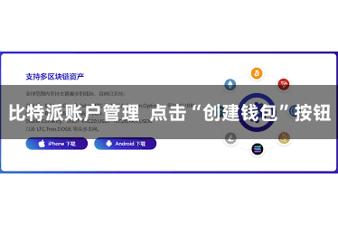 比特派账户管理  点击“创建钱包”按钮