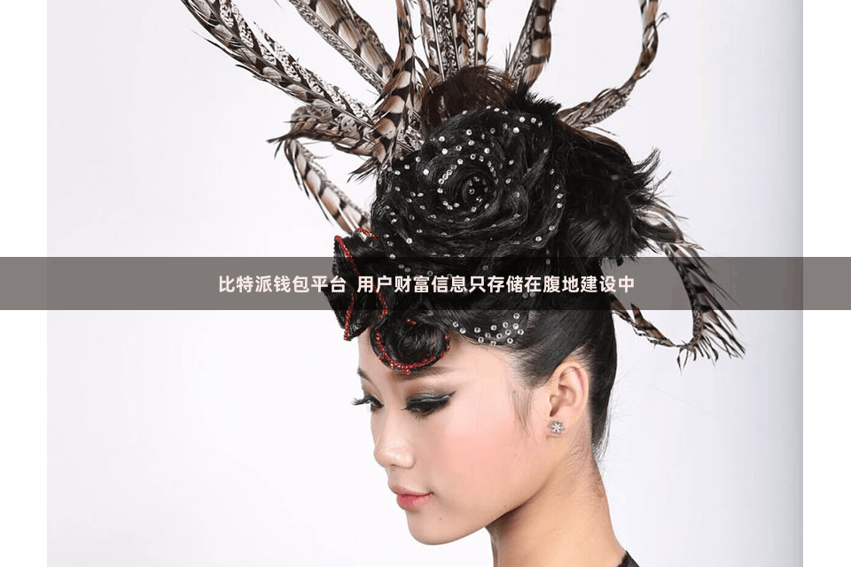 比特派钱包平台  用户财富信息只存储在腹地建设中
