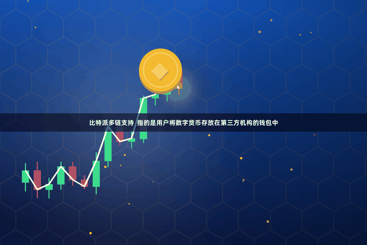 比特派多链支持  指的是用户将数字货币存放在第三方机构的钱包中